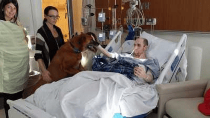 Mike Petrosino recebe a visita de Rusty no quarto do Massachusetts General Hospital, acompanhado por familiares (Foto: Reprodução/WCVB/John Petrosino)