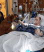 Cão reencontra tutor de 21 anos no hospital: foto registra despedida após oito anos de tratamento contra o câncer
