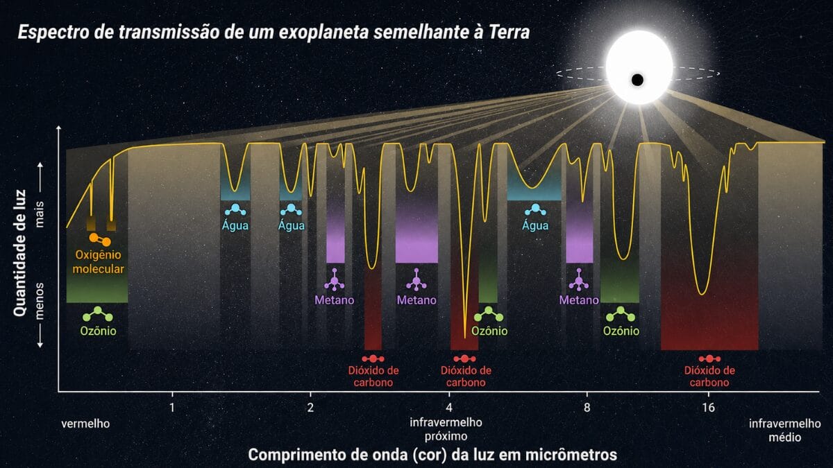 Depois que a existência do planeta é confirmada, a própria luz permite avançar: moléculas de sua atmosfera absorvem comprimentos de onda específicos e deixam uma espécie de impressão digital química (Foto: NASA, ESA, CSA, STScI, Joseph Olmsted / Wikimedia Commons)