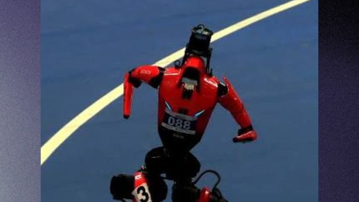 robô
