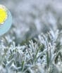 Mínimas de até 3°C e alerta de geada surpreendem quase 700 cidades do Sul do Brasil; veja onde o frio será maior
