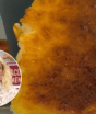 Ana Maria Braga testou: bombocado na airfryer leva só 4 ingredientes e não precisa de farinha, fica cremoso por dentro e douradinho por cima