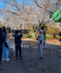 Turismo, produtos e eventos: a economia do frio que movimenta a Serra catarinense