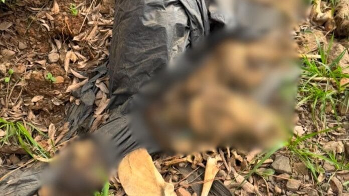 Cães encontrados mortos em Lages