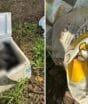 “Cemitério clandestino” de cães é descoberto em área marcada por anos de abandono de animais em SC