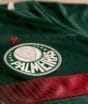 Depois de Murilo, Palmeiras dribla mercado externo e acerta renovação com ídolo