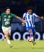Pesquisa revela qual é a maior torcida de Santa Catarina