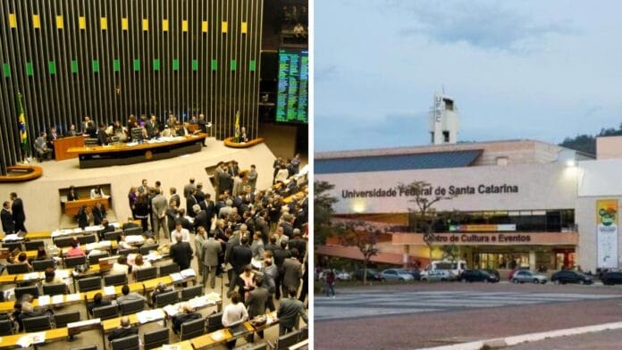 Eleições 2026: concorrência por vaga a deputado cai em SC, mas ainda supera a de quase todos os cursos da UFSC