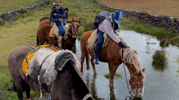 passeio com cavalos na Coxilha Rica