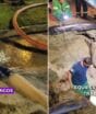 “Situação emergencial”: adutora se rompe, abre cratera no chão e forma “cachoeira” na principal via de acesso a Florianópolis