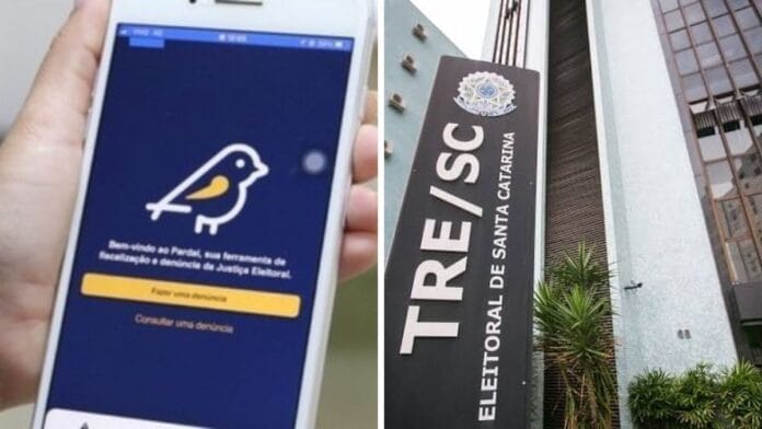 SC registra 17 denúncias por dia sobre propaganda eleitoral no aplicativo Pardal em 10 dias de campanha