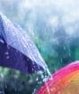 Super El Niño previsto para os próximos meses pode ser o mais intenso desde 1983 e repetir prejuízos históricos em SC