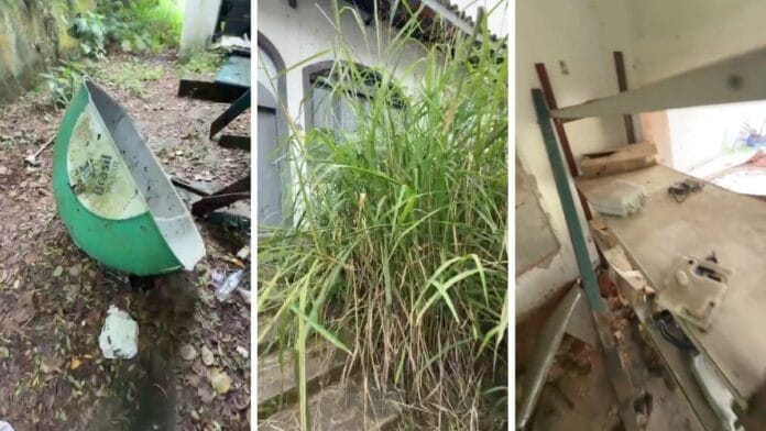 falência oi tem imóvel em são francisco do sul