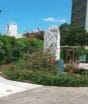Contrato de R$ 2,75 milhões prevê reforma de praça e 208 vagas de estacionamento no Centro de Florianópolis