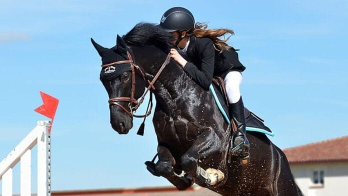 cavalo