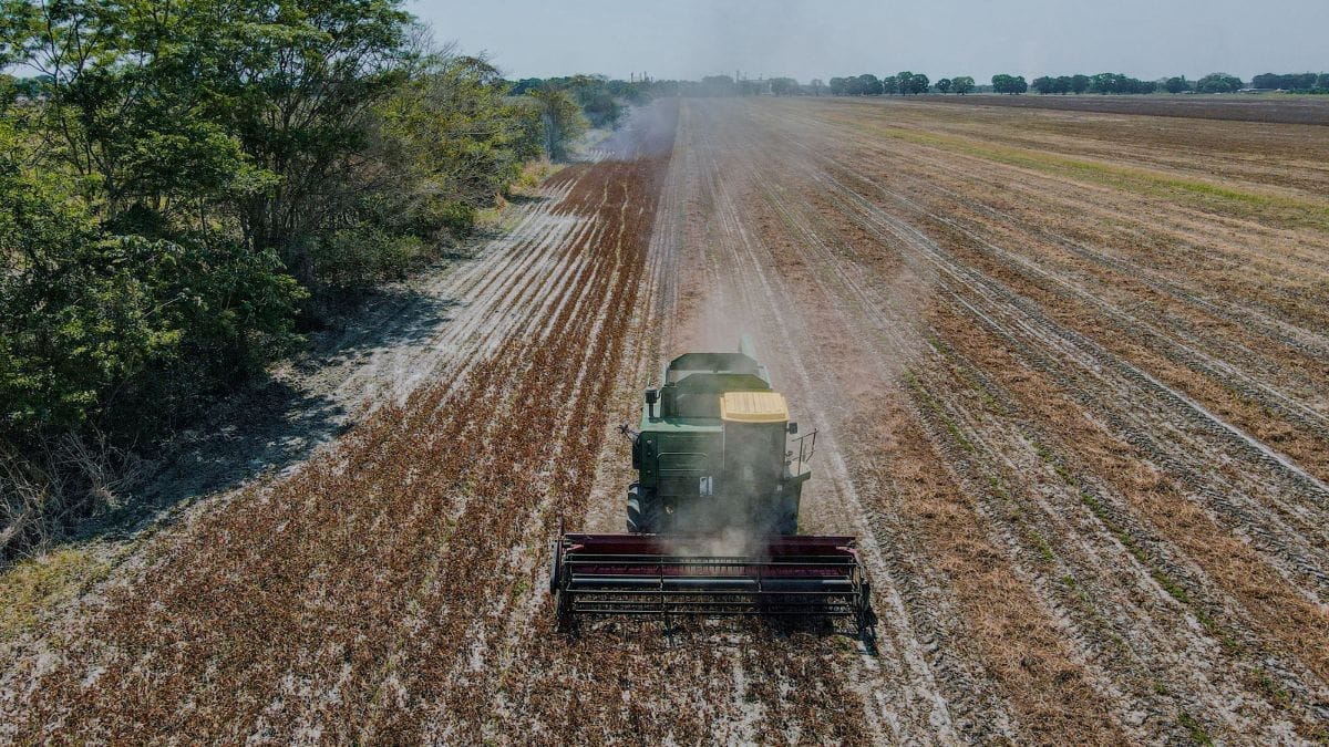Especialistas recomendam revisar os cadastros ambientais e fundiários antes do envio da DITR para reduzir riscos de autuações, restrições fiscais e dificuldades na obtenção de crédito rural