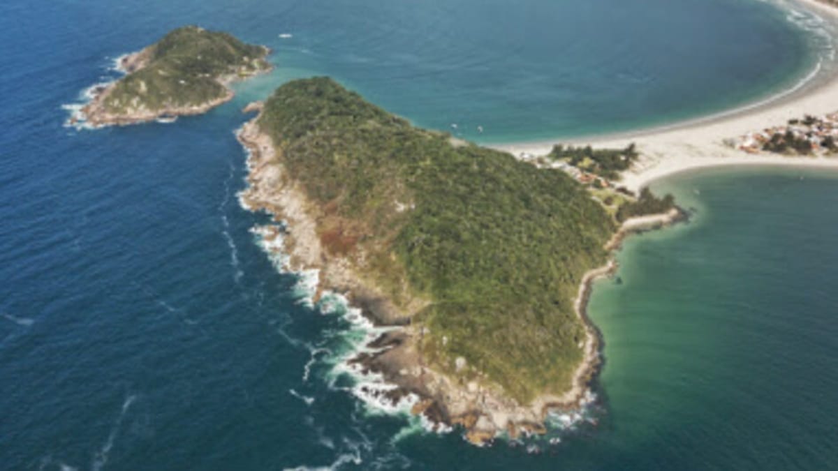 Ilha do Papagaio Grande, em Palhoça (Foto Divulgação, Google Maps)