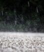 Sequência de cavados coloca 6 estados sob alerta de tempestade; chuva pode passar de 80 mm