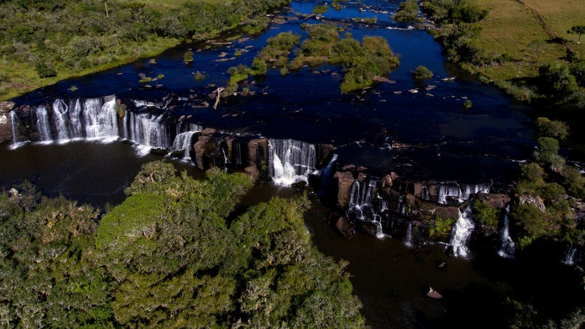 terra dos cânios