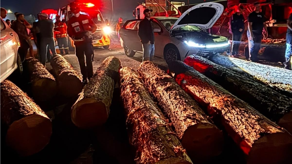 Madeiras atingiram dois veículos (Foto Divulgação, CBMSC)