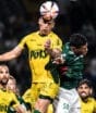 Mirassol x Palmeiras ao vivo: link para assistir com imagens ao  jogo da Série A
