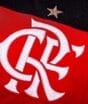 Morre aos 92 anos ex-atacante revelado pelo Flamengo que fez história na Europa