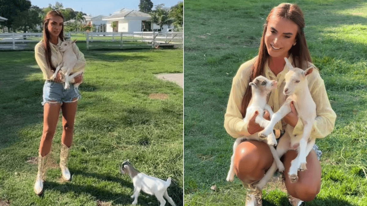 Nicole Bahls apresenta nova cabrita na fazenda e batiza filhote com nome de cantora famosa: “Faltava essa diva”