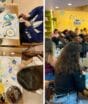 Nova cafeteria em Blumenau vai além de café com bolo e aposta na criatividade com a pintura em cerâmica