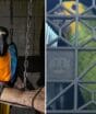 Operação expõe documentos falsificados e tráfico de animais em rota estratégica para o crime em SC