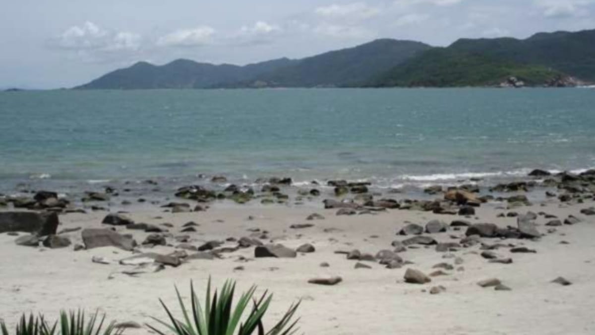 Paraíso particular na Ilha do Papagaio, em Palhoça (Foto Divulgação, Buch Imóveis)