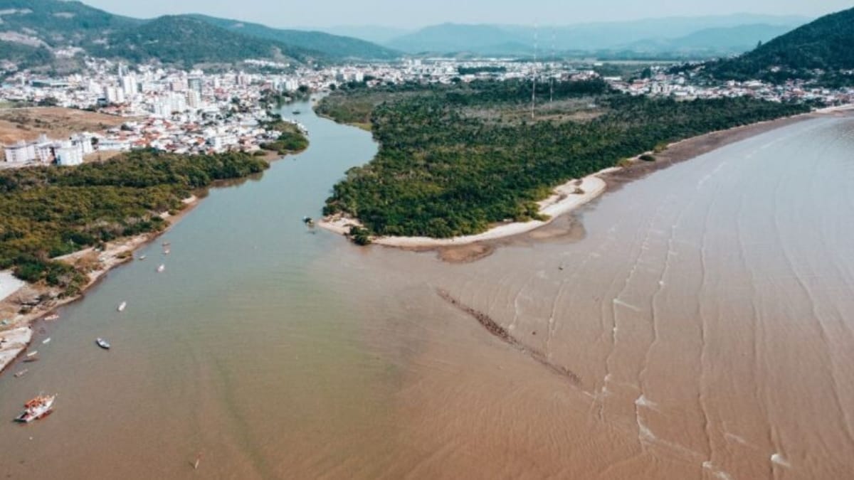 Empresa de SC que jogou óleo em rio e causou morte de animais é condenada a pagar multa de mais de R$ 29 mil