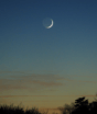 Qual a fase da Lua hoje? 12/08/2026