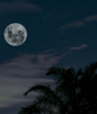 Qual a fase da Lua hoje? 28/08/2026