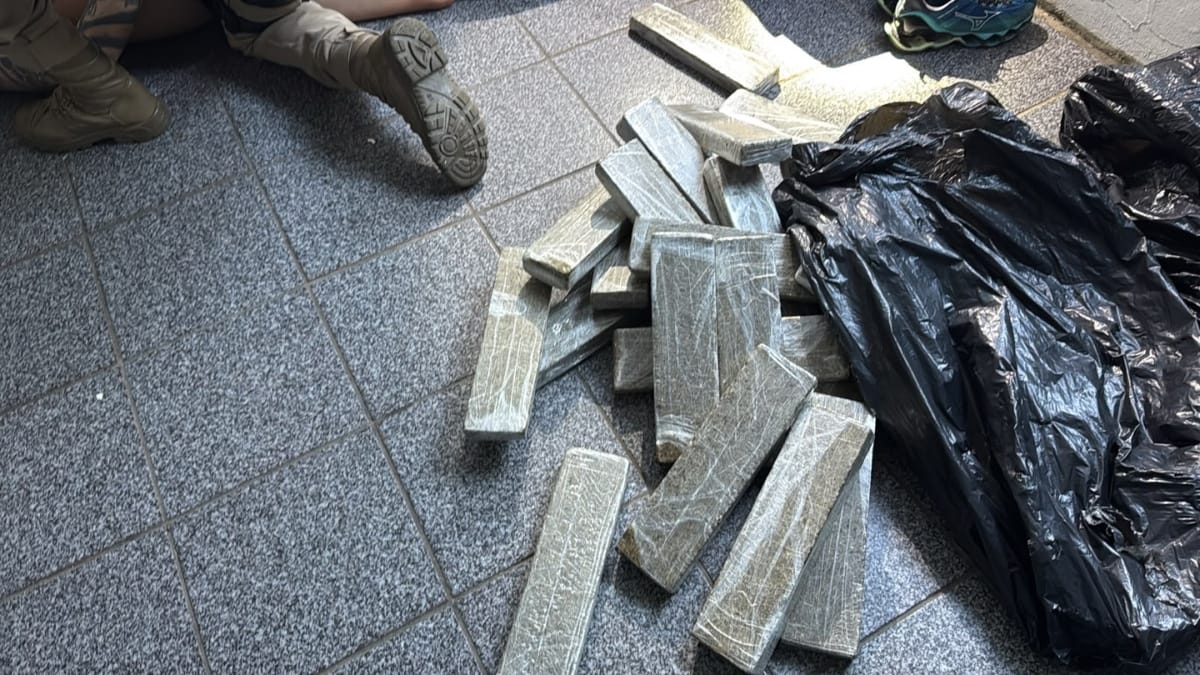 Quilos de maconha apreendidos na operação (Foto Divulgação, MPSC)