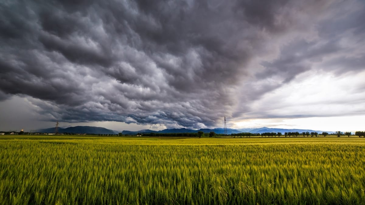 Intensificação do El Niño no fim do inverno exige atenção para os próximos meses, alerta Defesa Civil