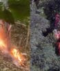 Turistas colombianas estão entre quatro mortos em queda de helicóptero em área de mata de difícil acesso no Rio