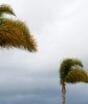 Frente fria traz tempestades e ventos fortes de até 100 km/h para SC e outros 7 estados brasileiros