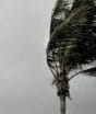 Rota de ventos fortes de até 100 km/h coloca mais de 400 cidades brasileiras em perigo para estragos