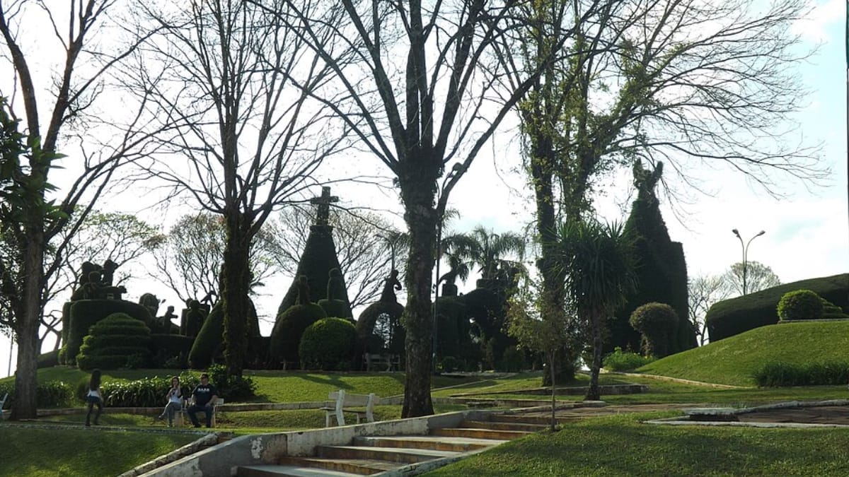 A técnica de topiaria transforma árvores em figuras e dá à praça de Victor Graeff uma paisagem única (Foto: Larissa Fraga- Wikimedia Commons)