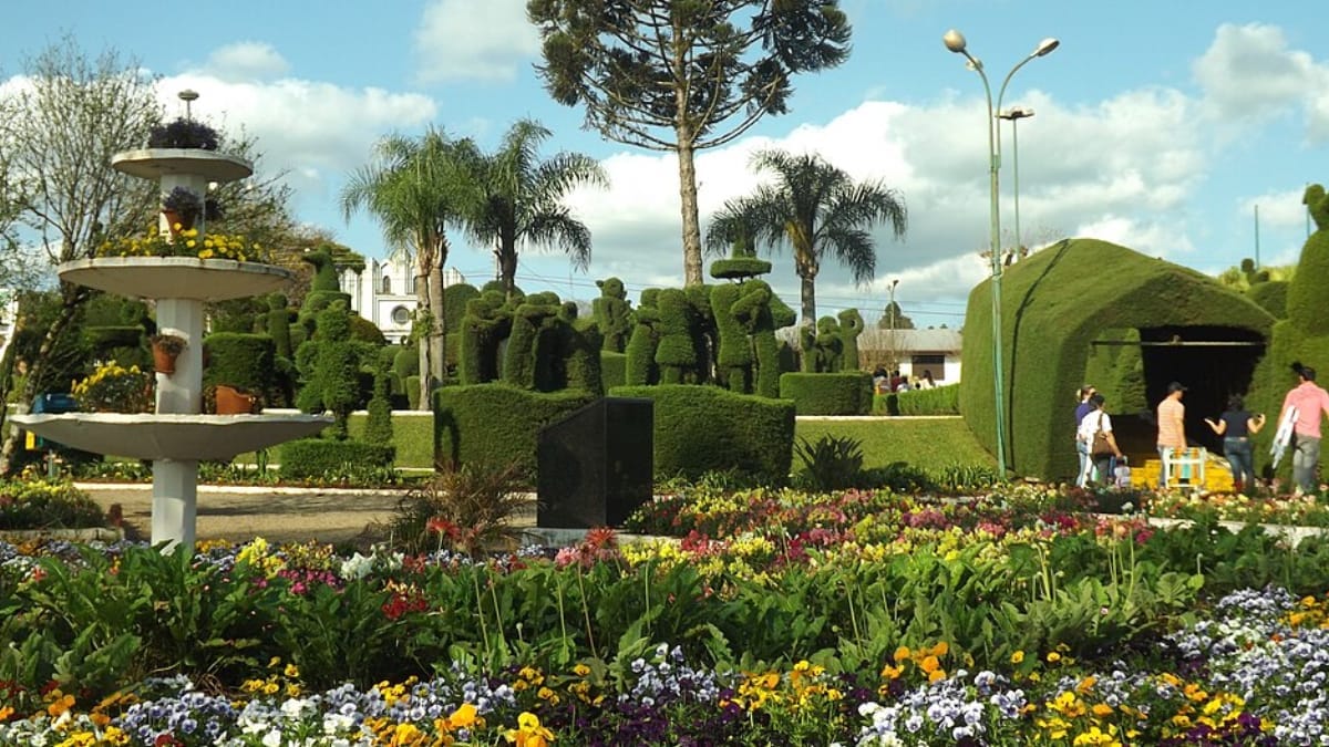 Ciprestes são moldados à mão e transformam a praça de Victor Graeff em um verdadeiro museu a céu aberto (Foto: Larissa Fraga- Wikimedia Commons)