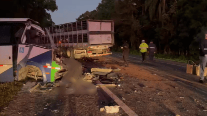 Acidente aconteceu por volta das 3h30min no Paraná (Foto: PRF, Reprodução)
