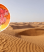 Umidade despenca no Brasil e 18 estados enfrentam clima de deserto e calor de até 40°C