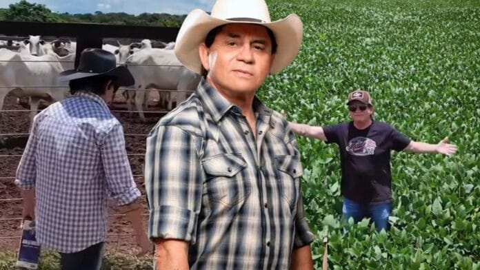 cantor chitãozinho fazenda gados por fazenda soja