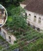 Casarão com mais de 100 anos em Florianópolis onde viveram governadores de SC aguarda restauro em meio à degradação