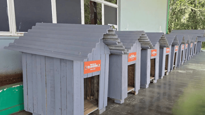 casinhas de cães