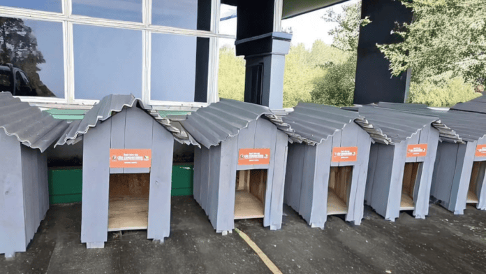 casinhas de cães