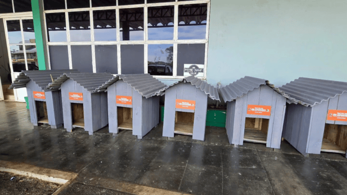 casinhas de cães