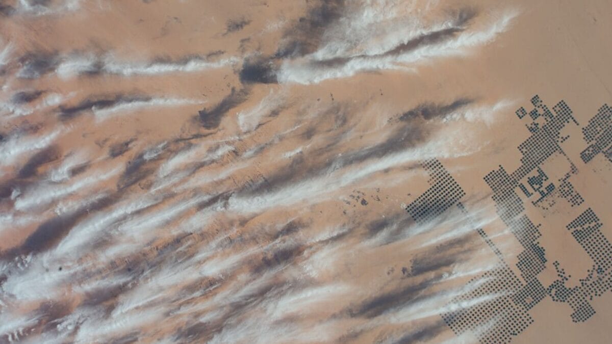No capítulo mais recente dessa longa relação, lavouras circulares avançam sobre o deserto com ajuda da irrigação mecanizada, mostrando que, do Egito faraônico aos projetos atuais, o desafio segue o mesmo: fazer a água do Nilo gerar vida onde antes havia apenas areia (Foto: NASA Johnson Space Center / Wikimedia Commons)