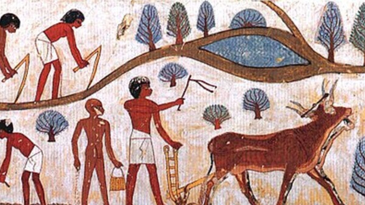 Essa ligação entre natureza e sobrevivência aparece nas cenas da tumba de Nakht, em que o cultivo, a colheita e o transporte de alimentos mostram como o calendário agrícola seguia o ritmo anual do Nilo (Foto: Norman de Garis Davies / Wikimedia Commons)