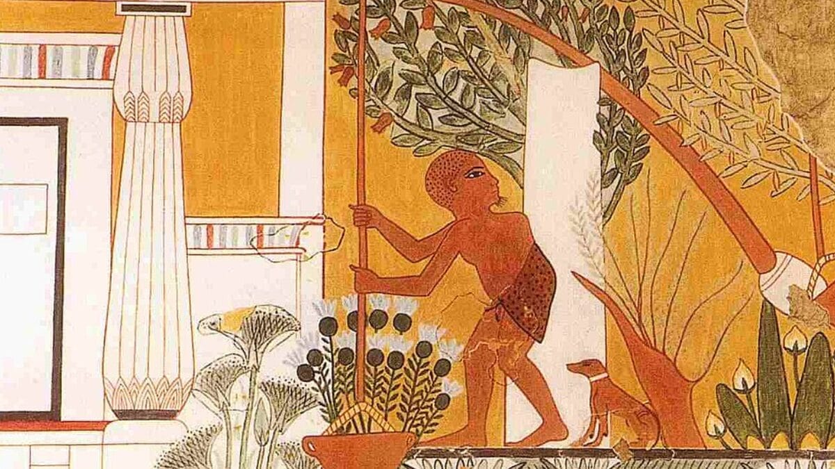 Quando a água precisava chegar mais longe, a engenhosidade entrava em cena: o shaduf, retratado na tumba de Ipuy, permitia elevar a água do rio para terrenos mais altos e ampliar a área cultivável (Foto: Norman de Garis Davies / Wikimedia Commons)